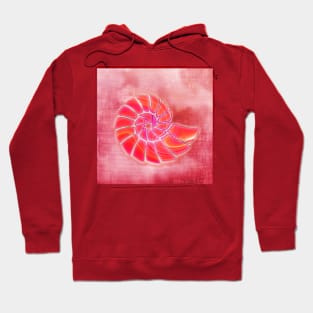 pink wash nautilus Hoodie